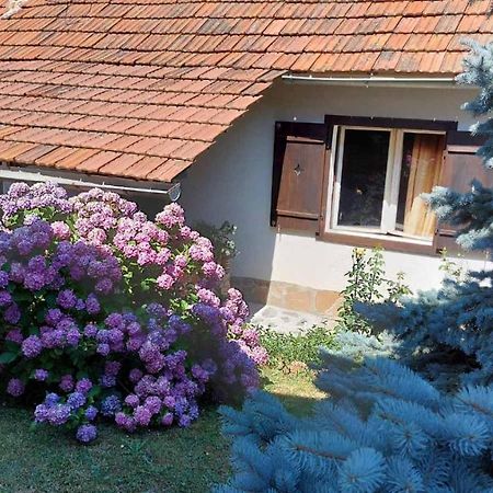 Apartman Nebojsa Рудник Экстерьер фото
