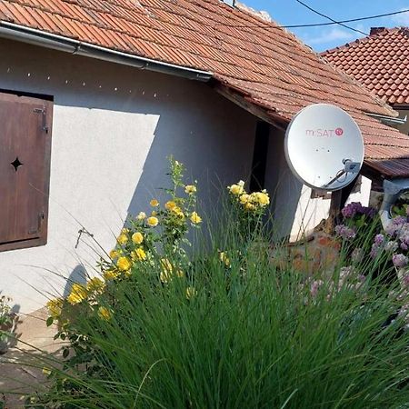 Apartman Nebojsa Рудник Экстерьер фото