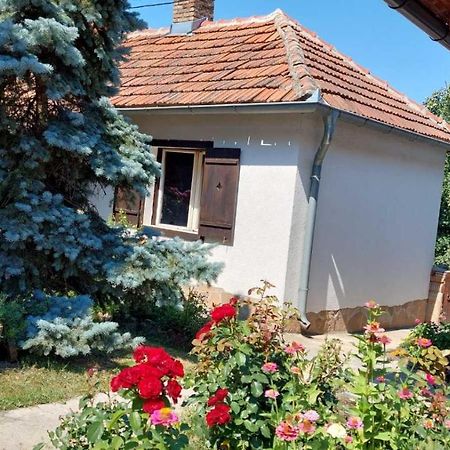 Apartman Nebojsa Рудник Экстерьер фото