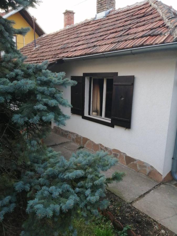 Apartman Nebojsa Рудник Экстерьер фото