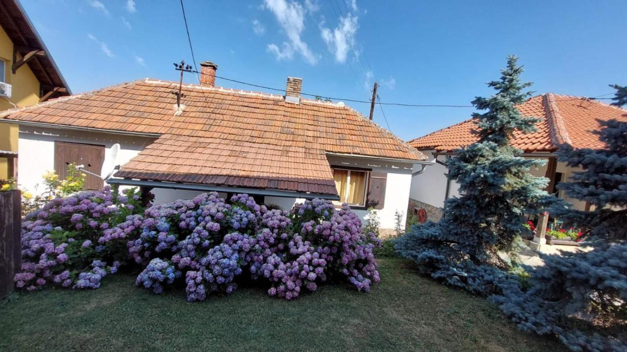 Apartman Nebojsa Рудник Экстерьер фото