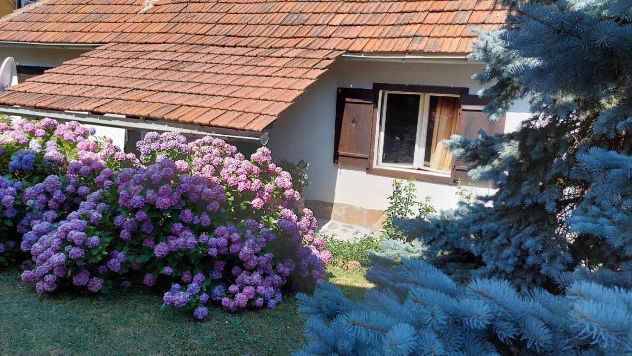 Apartman Nebojsa Рудник Экстерьер фото
