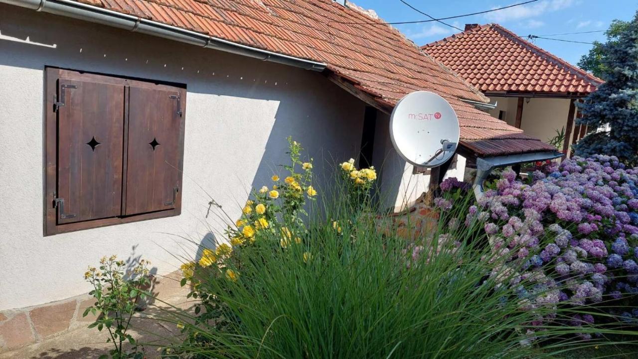 Apartman Nebojsa Рудник Экстерьер фото