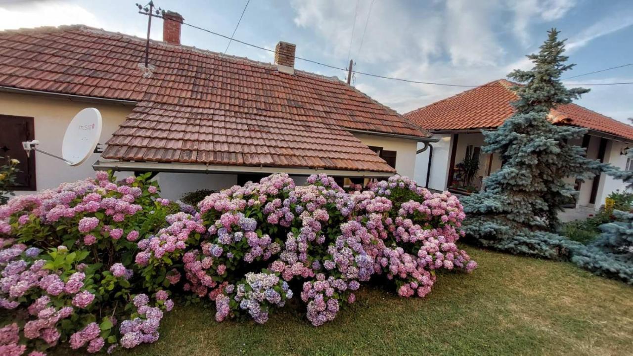 Apartman Nebojsa Рудник Экстерьер фото